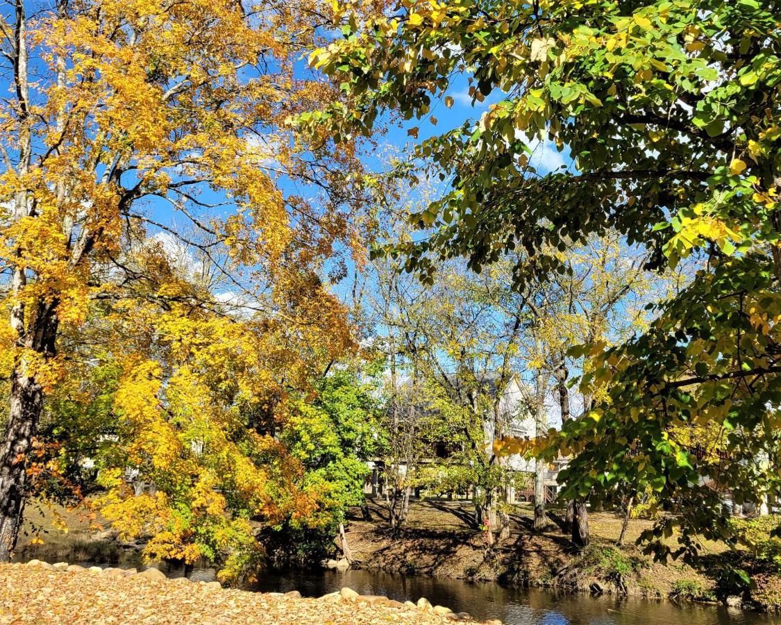 Skinny Dippin'-River Front- Free Tickets-Dog Friendly-Sleeps 6 Pigeon Forge Bagian luar foto